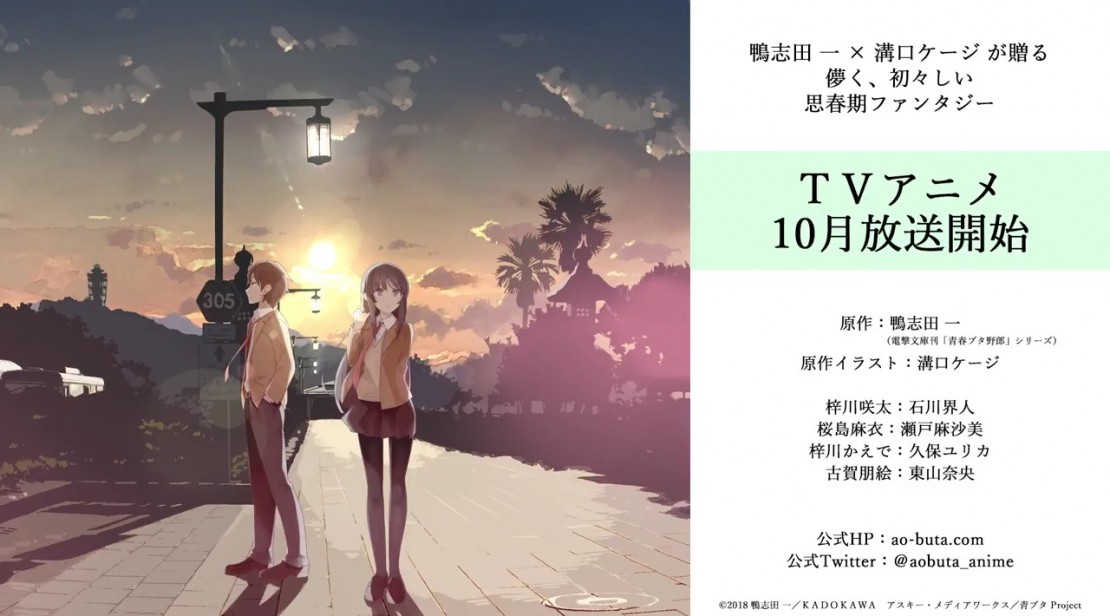 Revelan información del nuevo anime Seishun Buta Yarou